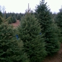 Evergreem Valley Christmas Tree Farm
