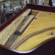 Gallery Image Number 5