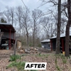 Wilson Fellers Tree Service gallery