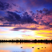 Gallery Image Number 4