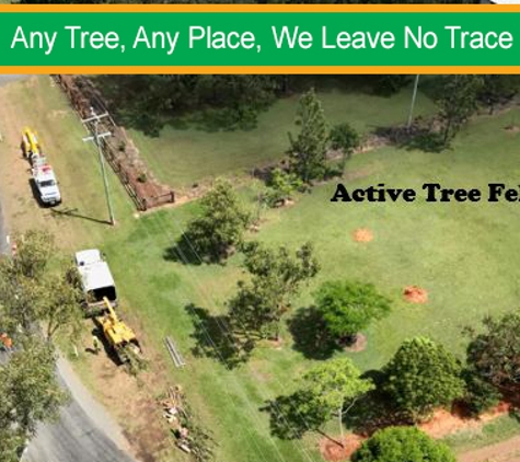 Active Tree Fellas - River Heads, QLD. Any Tree, Any Place, We Leave No Trace