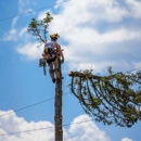 Upper Cut Tree Service - Firewood