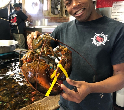 Young's Lobster Shore Pound - Belfast, ME