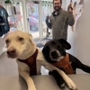 Lily's Play-N-Stay gallery