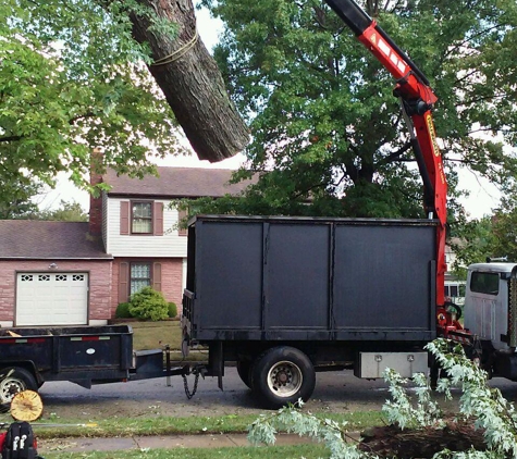 Cornerstone Tree Service - Medford, NJ