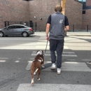 Prestige Dog Training - Dog Training