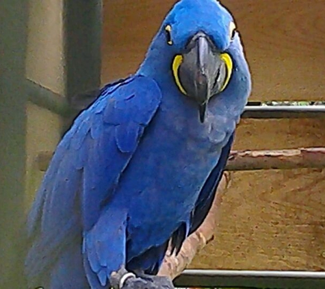 Panaewa Rainforest Zoo & Gardens - Hilo, HI