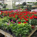 Kelli Green Garden Center - Garden Centers