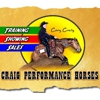 Craig Performance Horses gallery