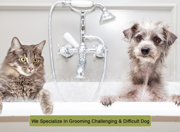 L.A. Clips Dog Grooming Salon - Wodonga, VIC. We Specialize In Grooming Challenging & Difficult Dog