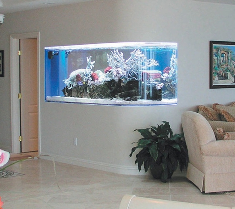 Normal Aquatics Aquarium & Pond Service - Fairfield, CT