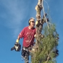 Total Tree Removal - Tree Service