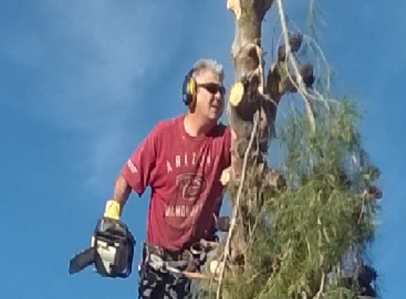 Total Tree Removal - Las Vegas, NV