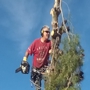 Total Tree Removal