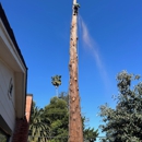 Revival Tree Service