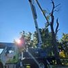 Friendly Tree Service Inc gallery