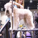 Animal Arts Academy - Pet Grooming