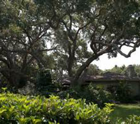 Arbor Works Tree Experts LLC - Palm Bay, FL