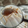 Cook's Pest Control Inc gallery