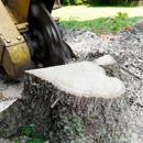 North Great Lakes Tree Service - Tree Service