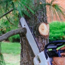 Academy Arborist - Tree Service