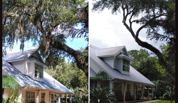 Kats Tree Service - Edgewater, FL