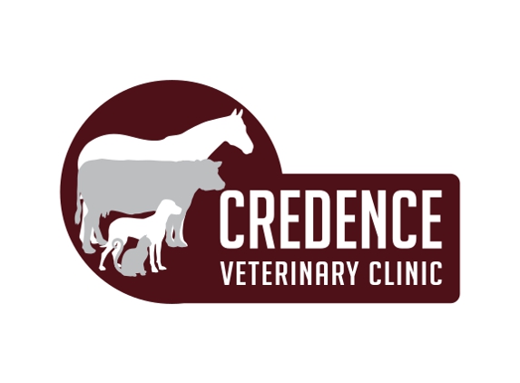 Credence Veterinary Clinic P - Beeville, TX