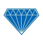 Diamond Ground Transportation Inc