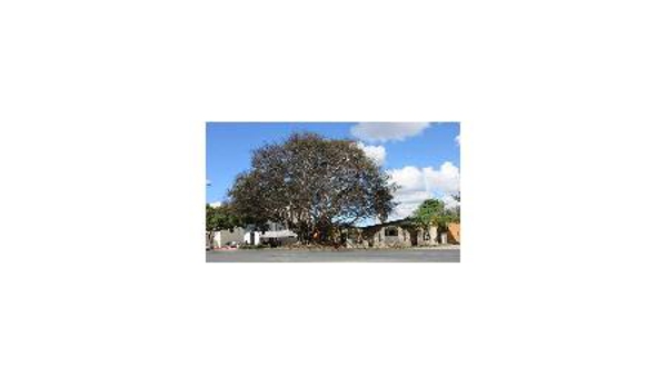 The Rental Man - Caboolture, QLD