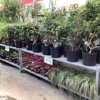Tractor Supply Co gallery