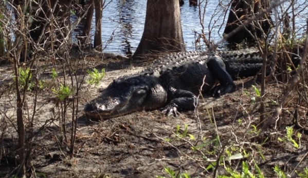 Ray's Airboat Rides - Christmas, FL