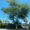 Walgreens gallery