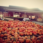 Papas Pumpkin Patch