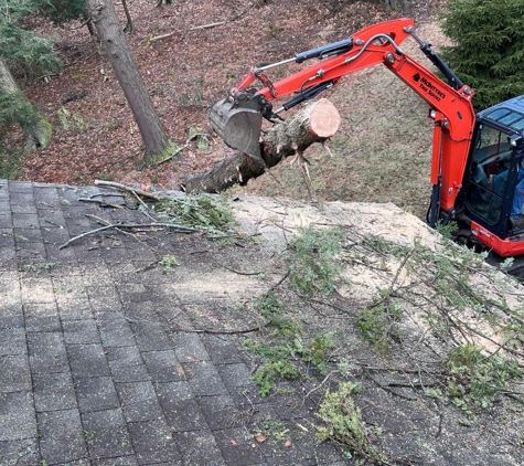 McIntyre's Tree Service - Stroudsburg, PA