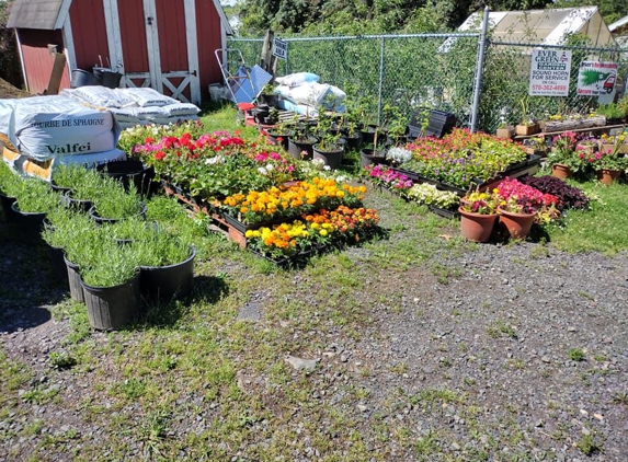 Ever Green Garden Center of Dupont - Avoca, PA