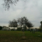 Los Angeles Odd Fellows Cemetery