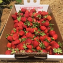 Strawberry Hill Farm - Farms