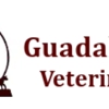 Guadalupe Valley Veterinary Clinic - Bryan Glass DVM gallery