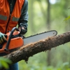 Joe Tree Service Inc gallery