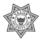 Valor Security Inc.