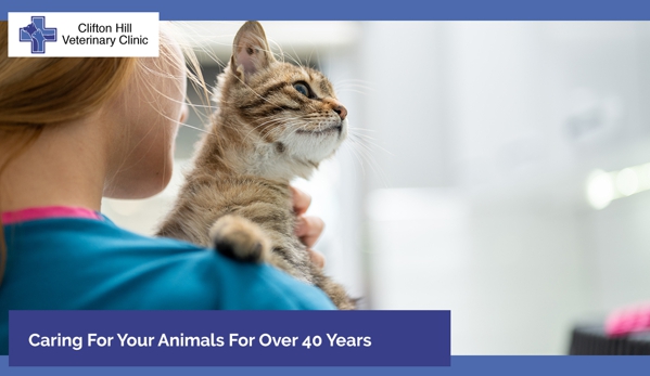 Clifton Hill Veterinary Clinic - Clifton Hill, VIC. Caring For Your Animals For Over 40 Years