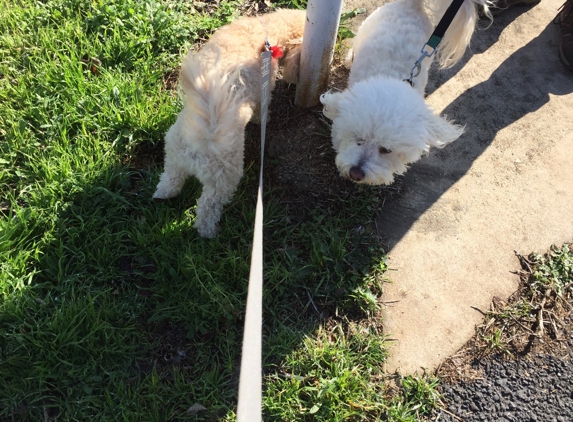 Noah's Ark Boarding & Grooming - New Braunfels, TX