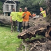 Tomax Tree Service gallery