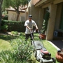 Daniel Landscaping