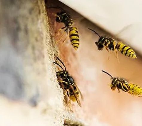 Central Iowa Pest Control Services, Inc. - West Des Moines, IA