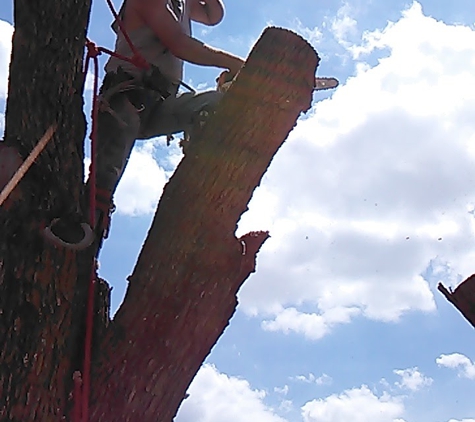 Churchill Tree Service - louisville, KY. 24 plus years experience