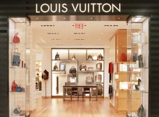 Stein Mart Louis Vuitton Bags