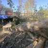 Robinson Tree Service gallery