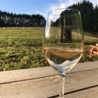 Helvetia Vineyards & Winery