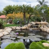 San Diego Ponds | Koi Pond Installer gallery